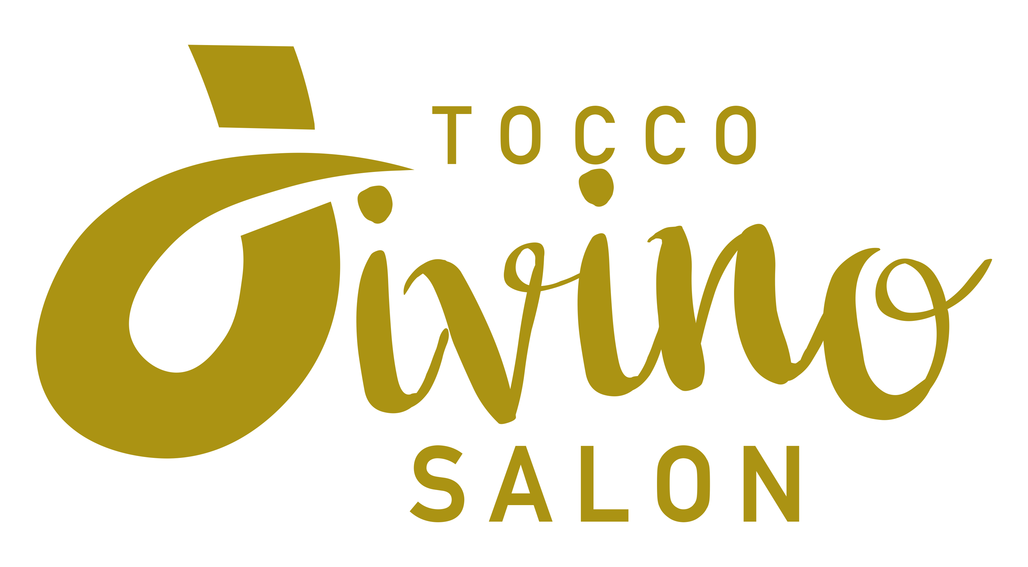 Tocco Divino Salon logo